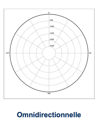 micro omnidirectionnel - Logitourisme